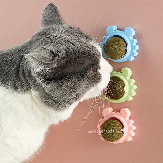 Natural Mint Snack Nutrition for Cat